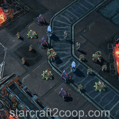 thrasher2camp Picture